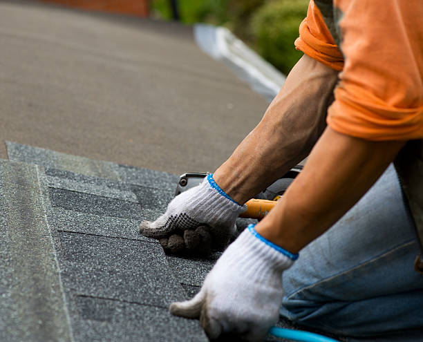 Best Roof Maintenance Services  in Willard, OH