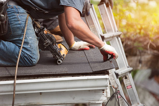 Best Roof Repair Services  in Willard, OH