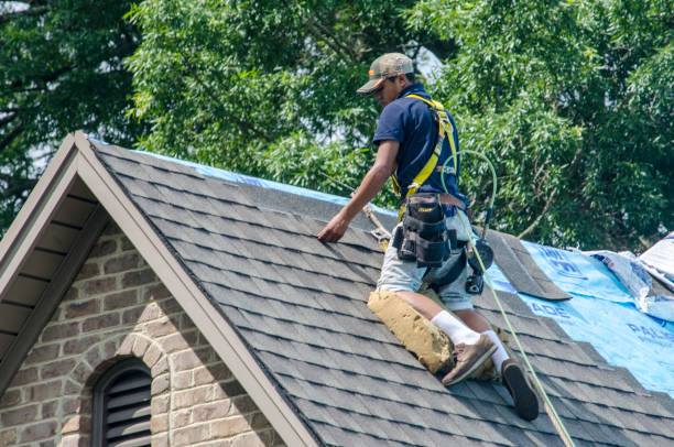 Best Roof Waterproofing Services  in Willard, OH